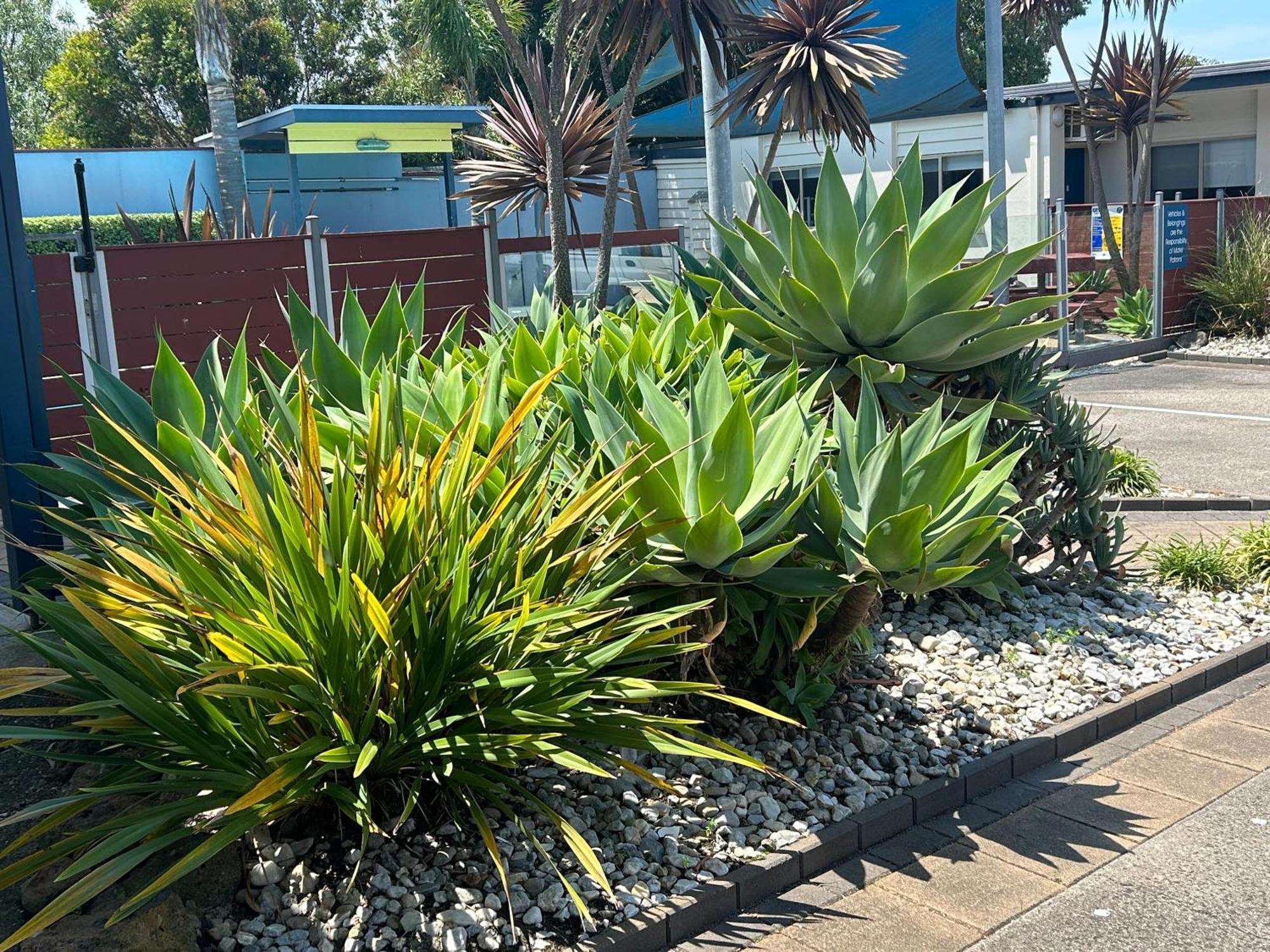 Portarlington Beach Motel Εξωτερικό φωτογραφία